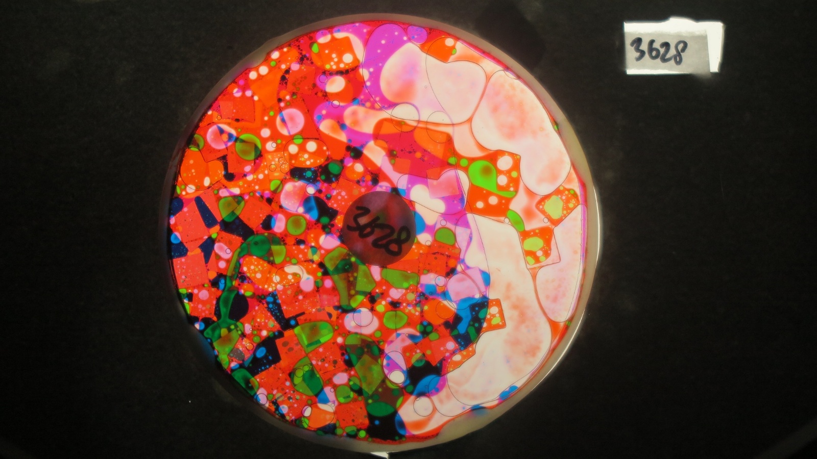 BV3628 bubble vision oil wheel